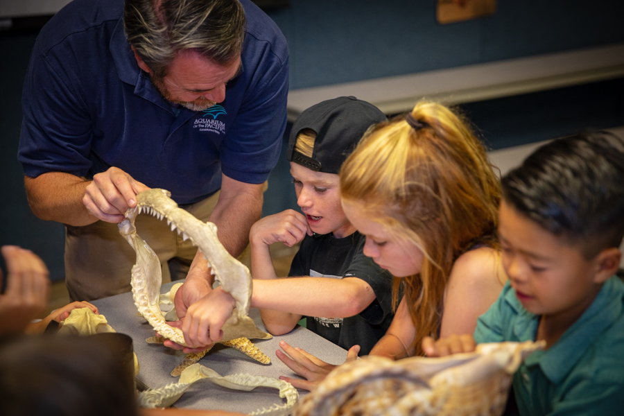 Instructor showing boy and girl shark jaw