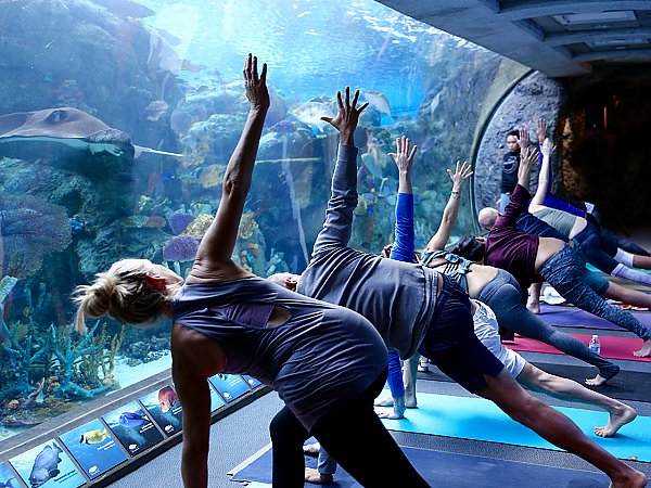 yoga in tropical pacific tunnel