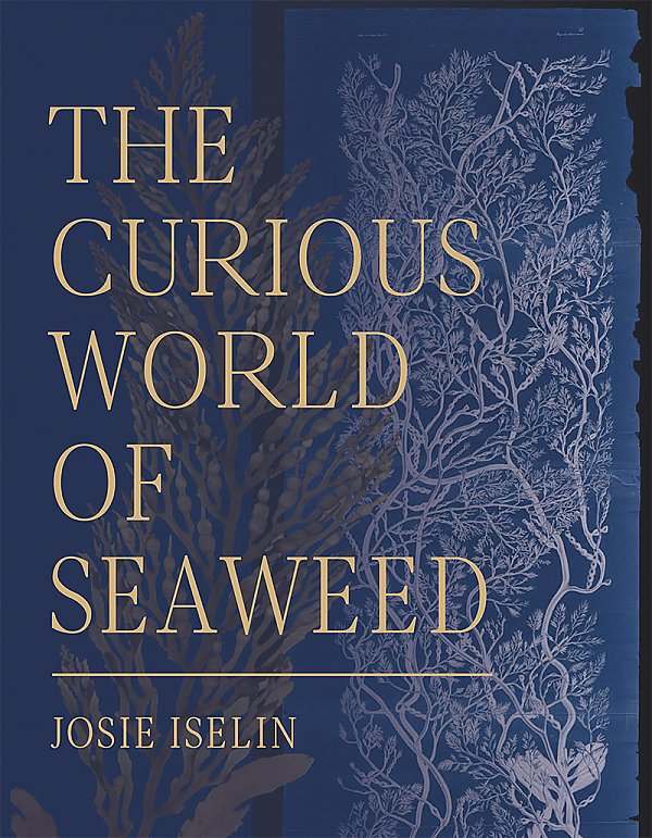 The Curious World of Seaweed book cover
