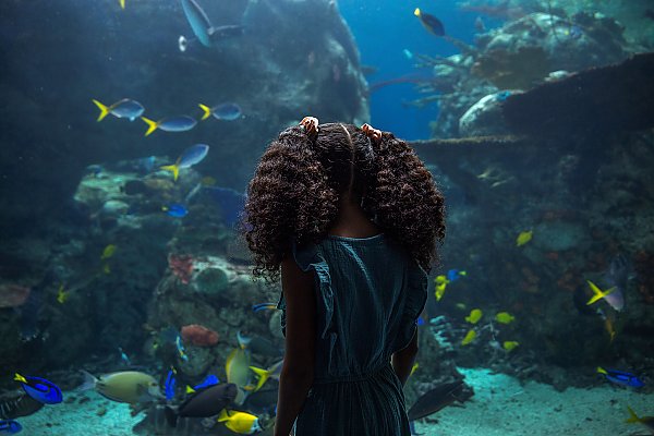 girl in front of tropical reef