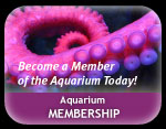 Membership Membership