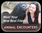 Animal Encounters Animal Encounters