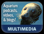 Multimedia - MediaSlot Multimedia - MediaSlot