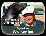 Volunteer Media Slot Volunteer Media Slot