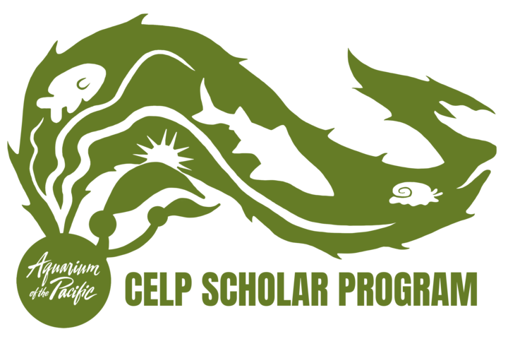 logo-CELP-2x3.png