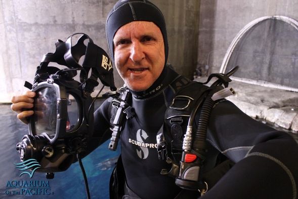 Why Aren't There Scuba Celebrities? | ScubaBoard