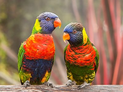 En Español | Aquarium of the Pacific