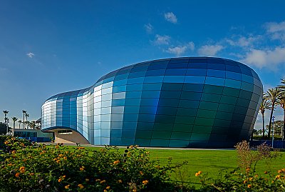 Sea level shops aquarium