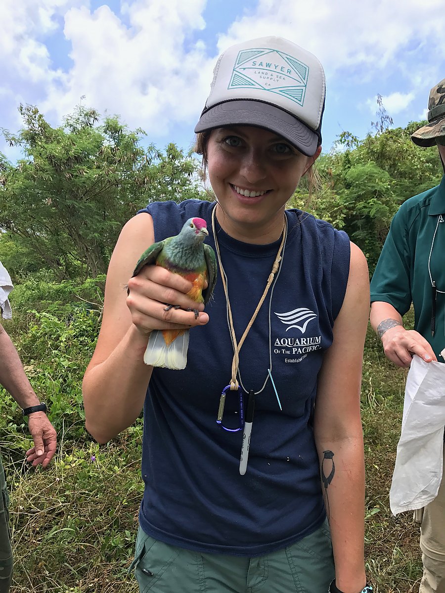 Katie holds a fruit dove