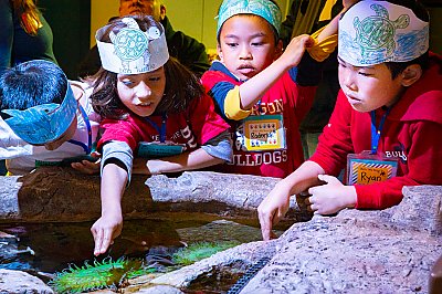 Kindergarten - 2nd Grade | School Programs | Aquarium of the Pacific