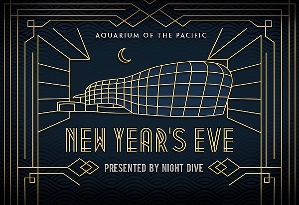 2021 New Year's Eve Night Dive logo