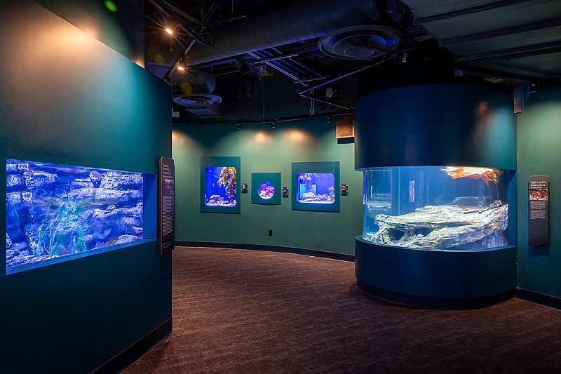 25th Anniversary | Celebration | Aquarium of the Pacific