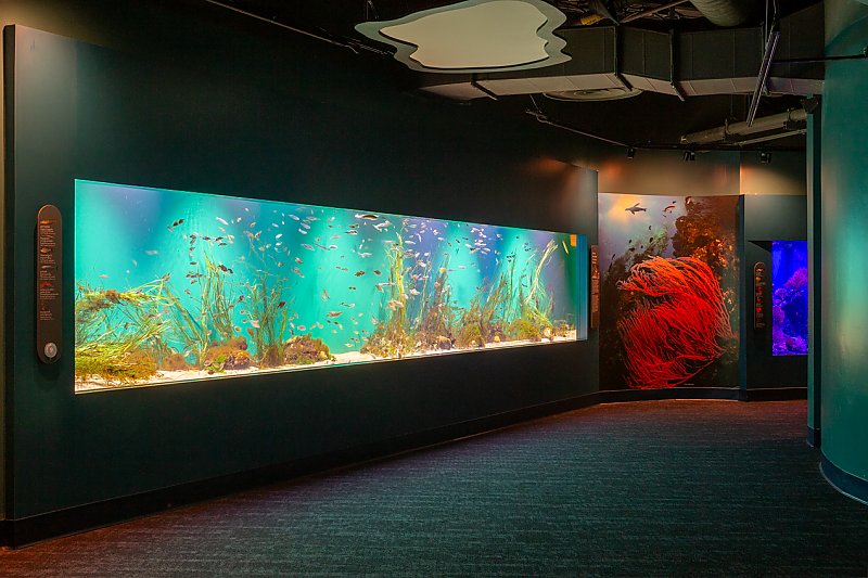 25th Anniversary | Celebration | Aquarium of the Pacific