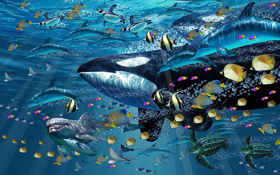 marine biology artwork