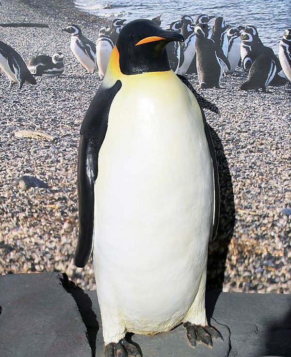 emperor penguins predators