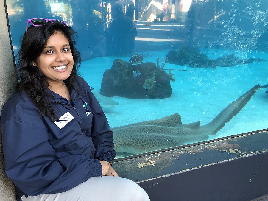 Volunteer at the Aquarium, Volunteer