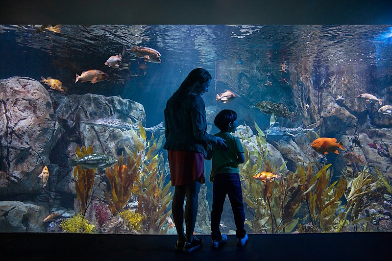 25th Anniversary | Celebration | Aquarium Of The Pacific