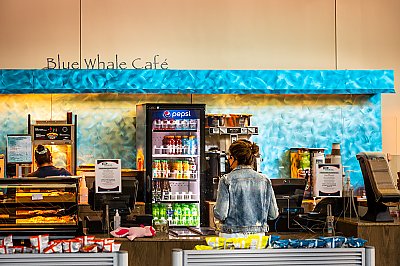 Blue Whale Cafe Coffee Cart Plan Your Visit Aquarium Of The Pacific