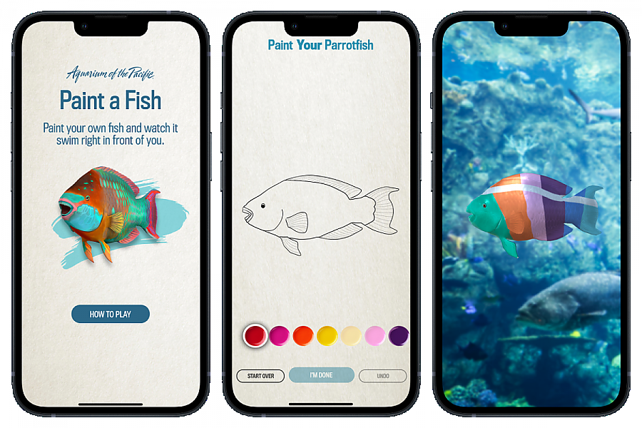 Three Paint a Fish demo screens