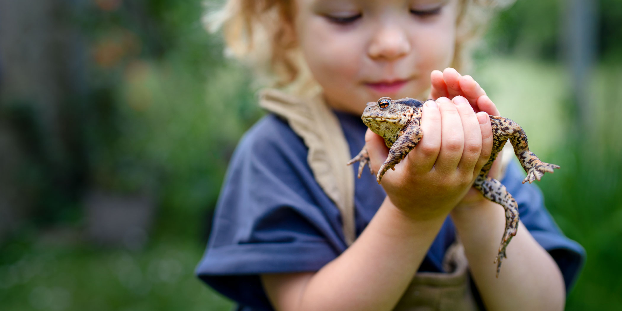 Little girl holding a frog in both her hands.