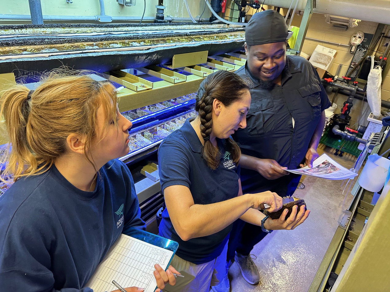 Three staff members looking at sample in lab